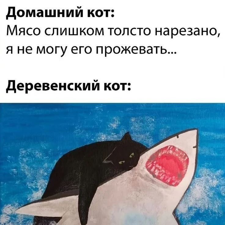 👀 Парадоксы комфорта
