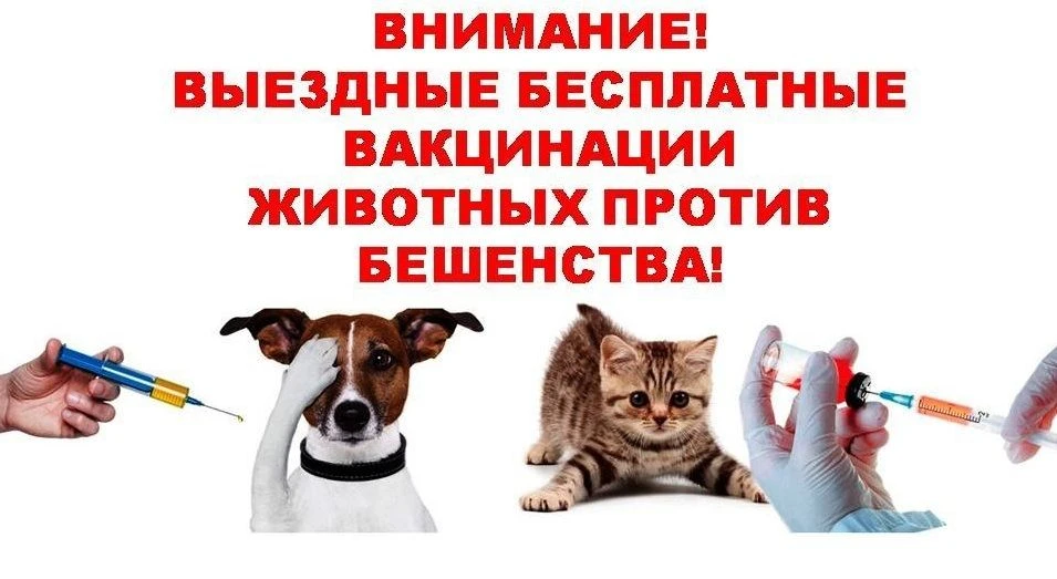 Уважаемые жители Хвастовичского муниципального округа, представляем вашему вниманию гра...
