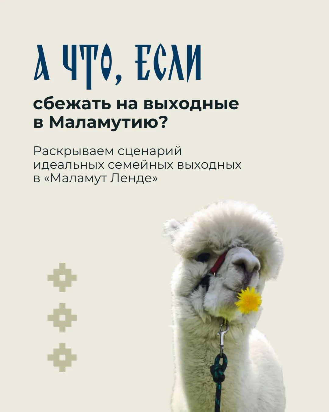 Выходные в «Маламуте»?