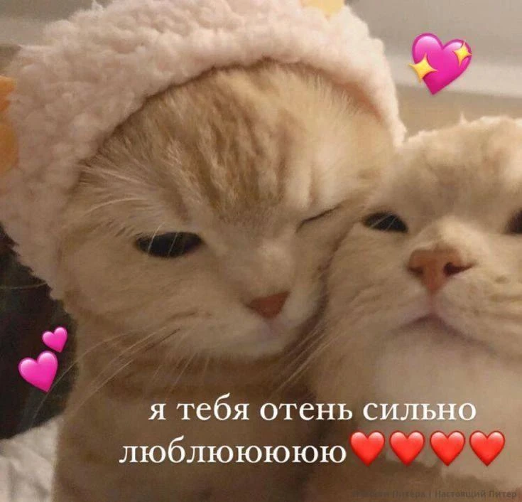 Сегодня день бойфренда. Не забудьте поздравить своих мужчин!