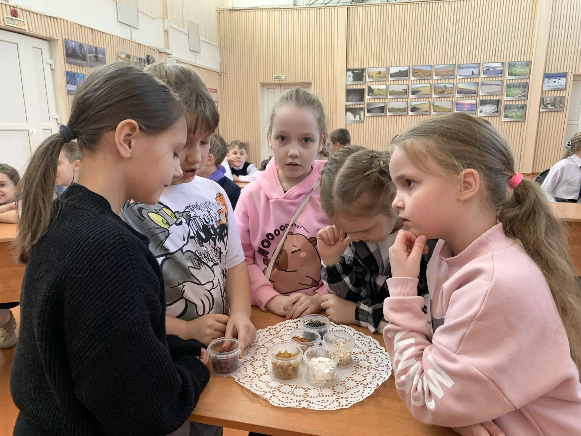 Посмотрите в окно.  Видите, кто‑то прыгает по заснеженным веткам? Это наши зимние гости...