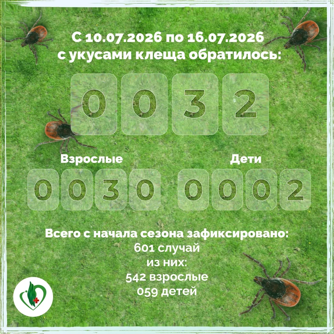 В период с 10 по 16 июля 2026 года с укусами клещей в больницу обратилось ⬆️