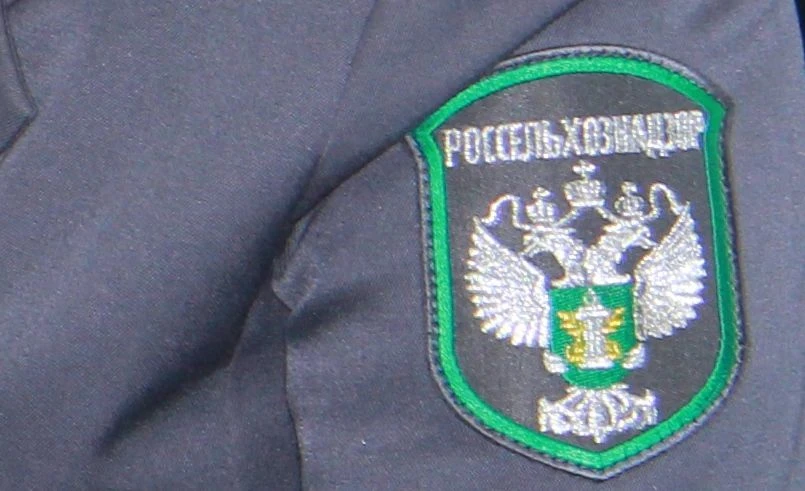 Управлением Россельхознадзора по Красноярскому краю 15 июня 2026 года в целях оценки исполнения ране