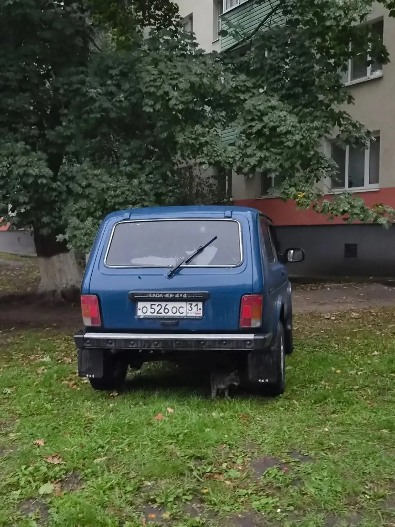 Мастер парковки