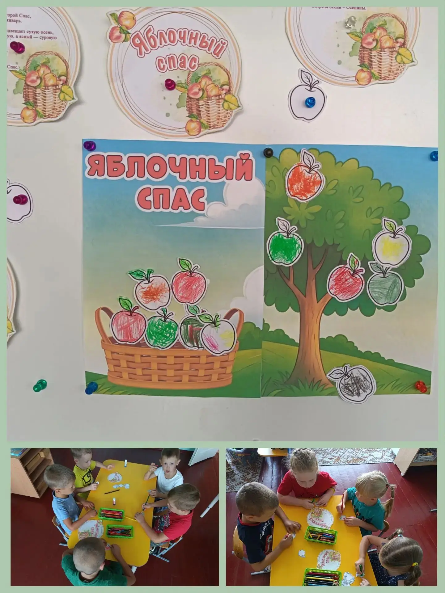 Ребята старшей группы сделали коллективную аппликацию.