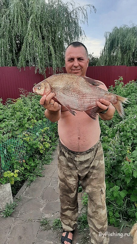 Отчет из приложения