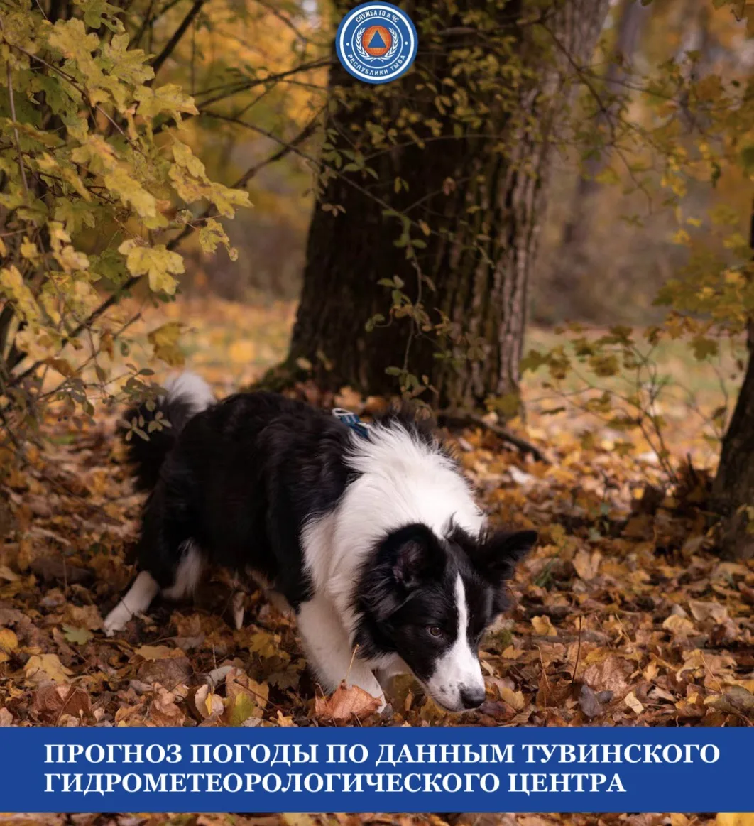 Прогноз погоды на 9 октября 🌥️