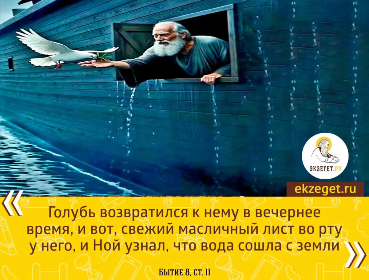 Цитаты из Библии

ПОДПИСЫВАЙТЕСЬ @ekzeget
Мы в MAX
