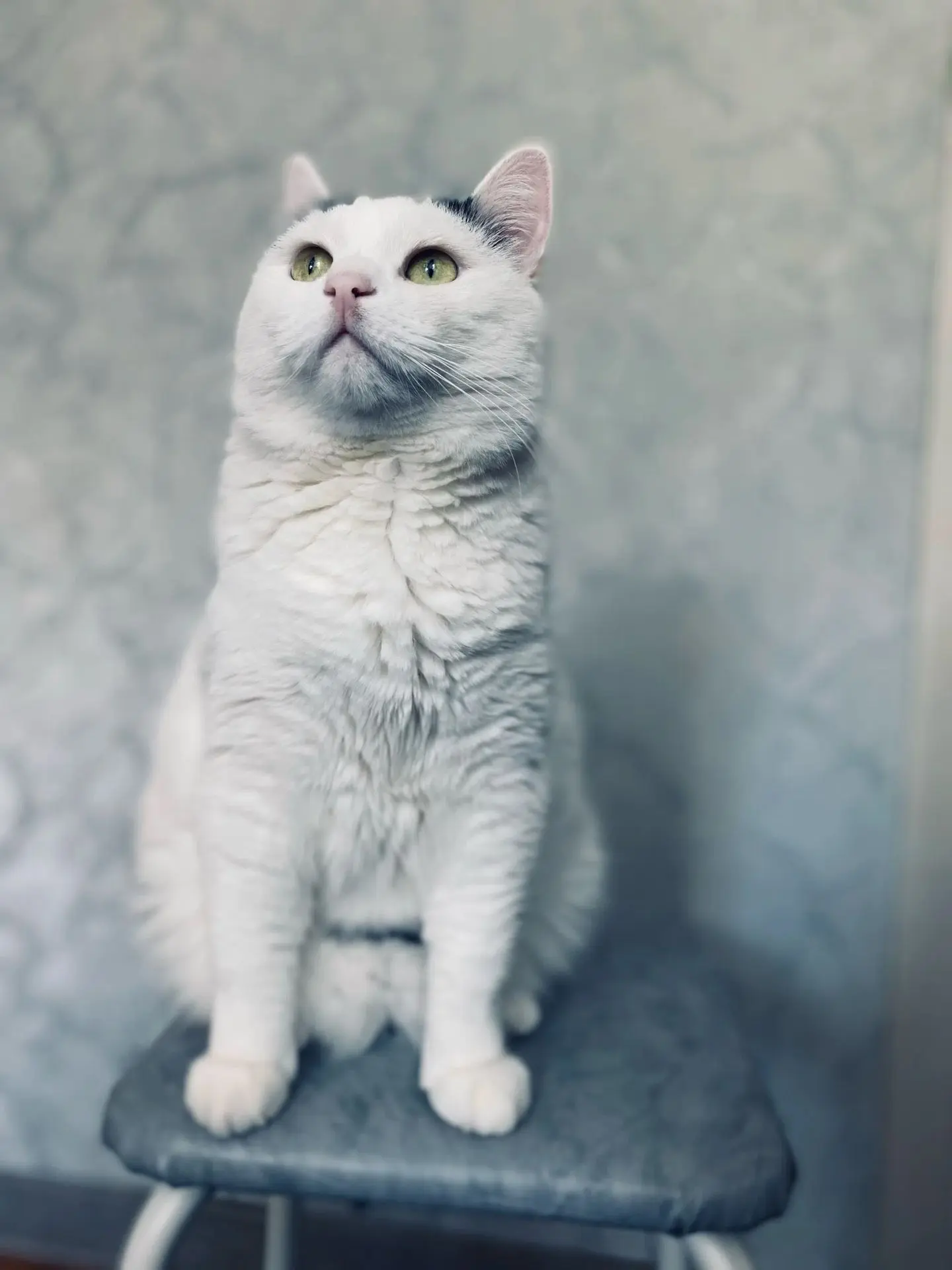 #всубботусприветом
Васенька❤️