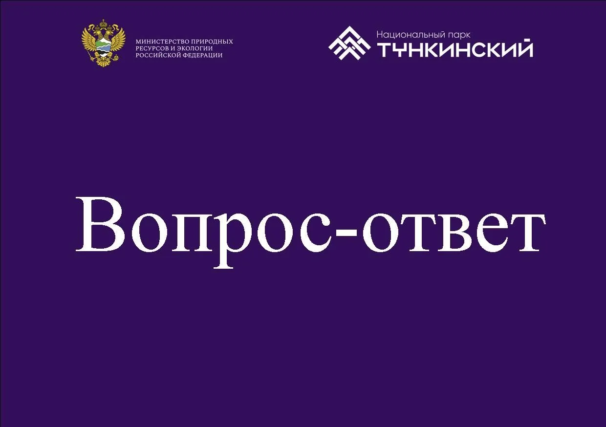 ❓Вопрос-ответ.