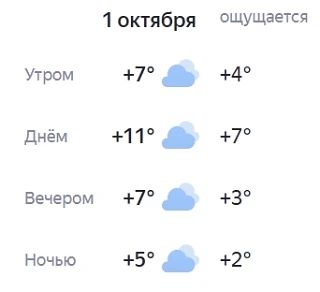 Доброе утро! Хорошего дня!