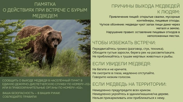 В Нижнеудинском районе фиксируется рост случаев выхода медведей к населённым пунктам: К...