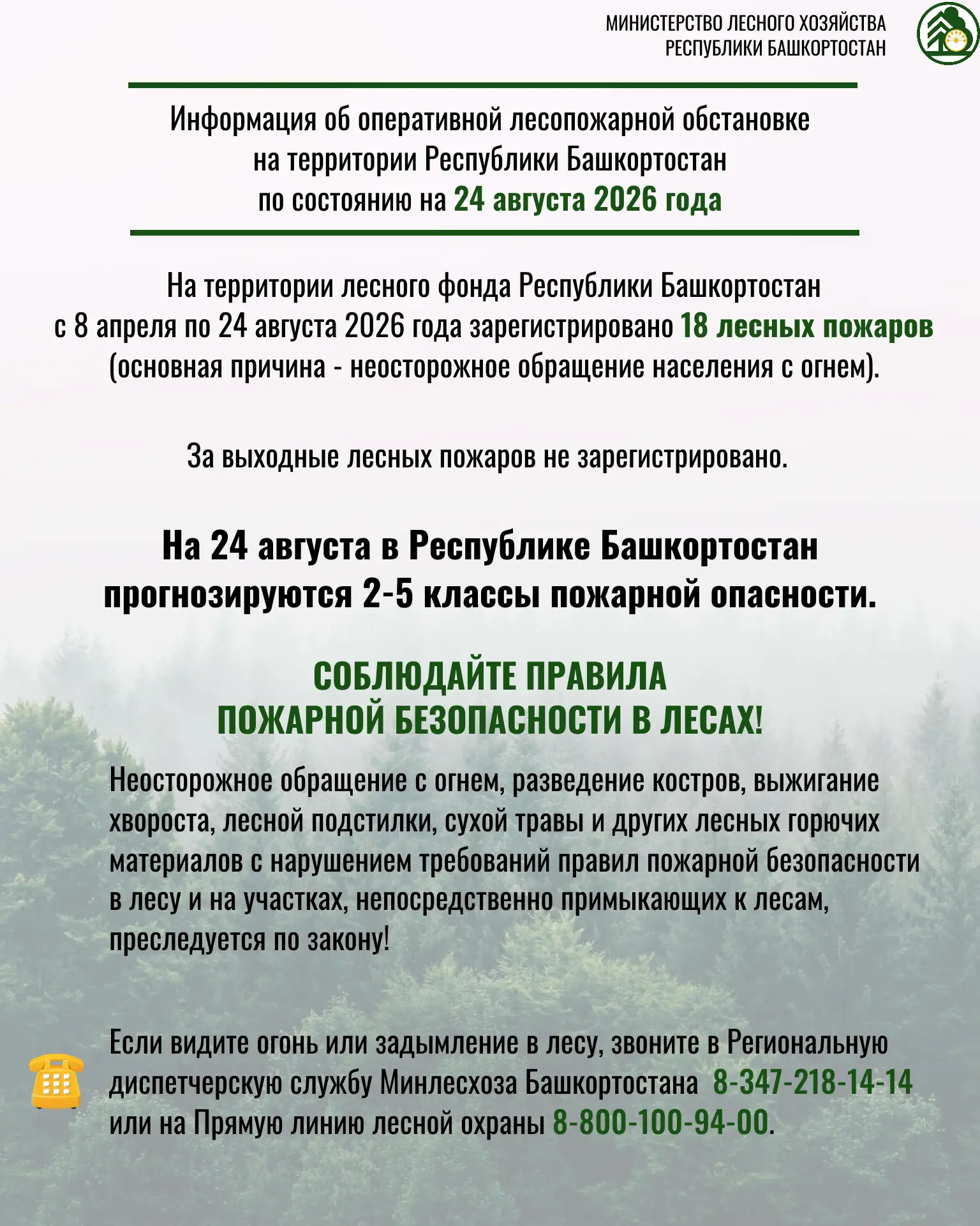 #сохранениелесов