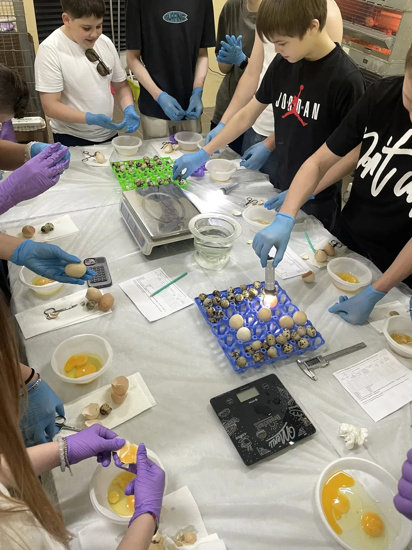 🔬 22 мая 7 «Б» совершил тур в мир больших наук в ФИЦ ВИЖ им. Эрнста! 🎓  Птичья тема захватила нас с 