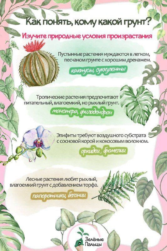 Как составить правильный грунт
