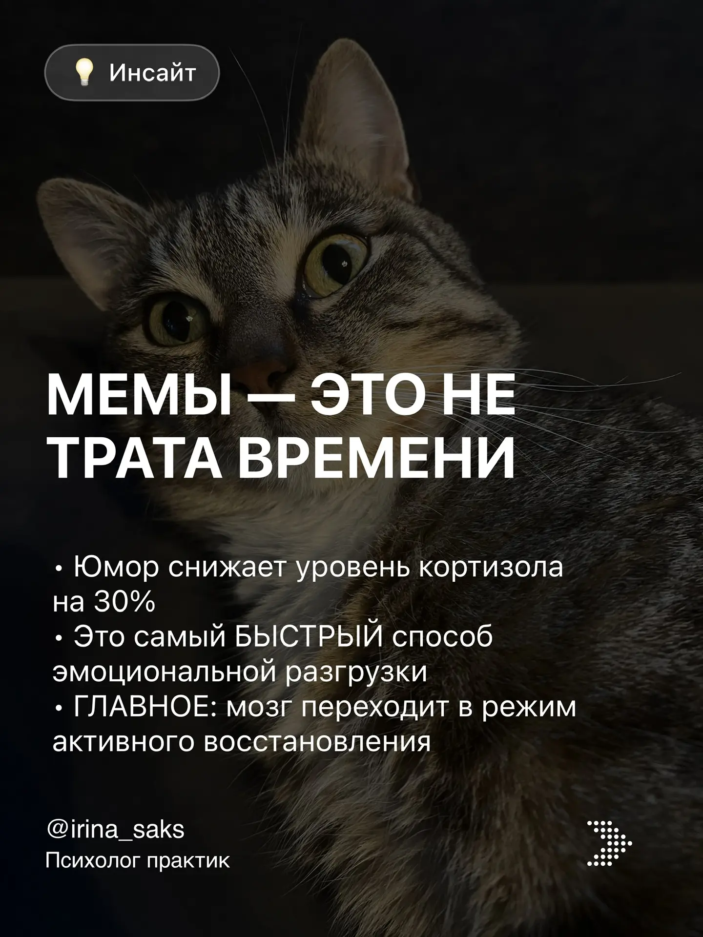 Воскресенье, а значит мемная терапия
⠀
Иногда проще увидеть правду в каком-нибудь дурацком меме, над