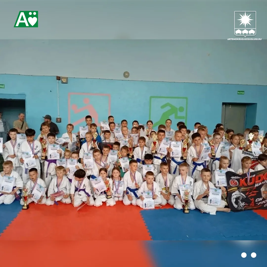 Юные артёмовские спортсмены привезли награды с открытого фестиваля по кудо