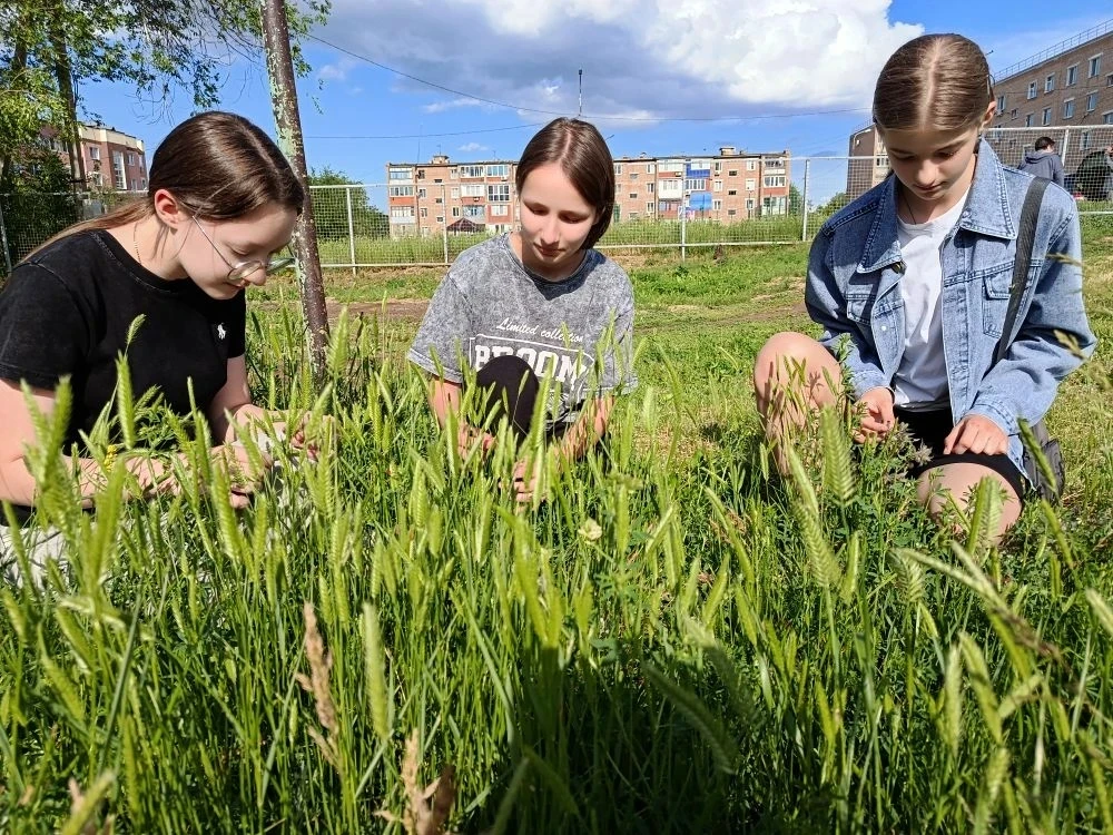 🌾 Мы — исследователи родного края! 🧭

Мы живем в удивительном Оренбургском крае, где бескрайние ко