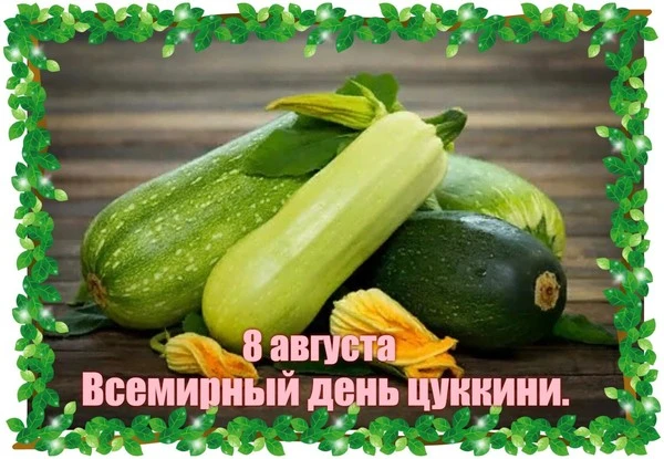 Всемирный день цуккини - отмечается ежегодно 8 августа🙂