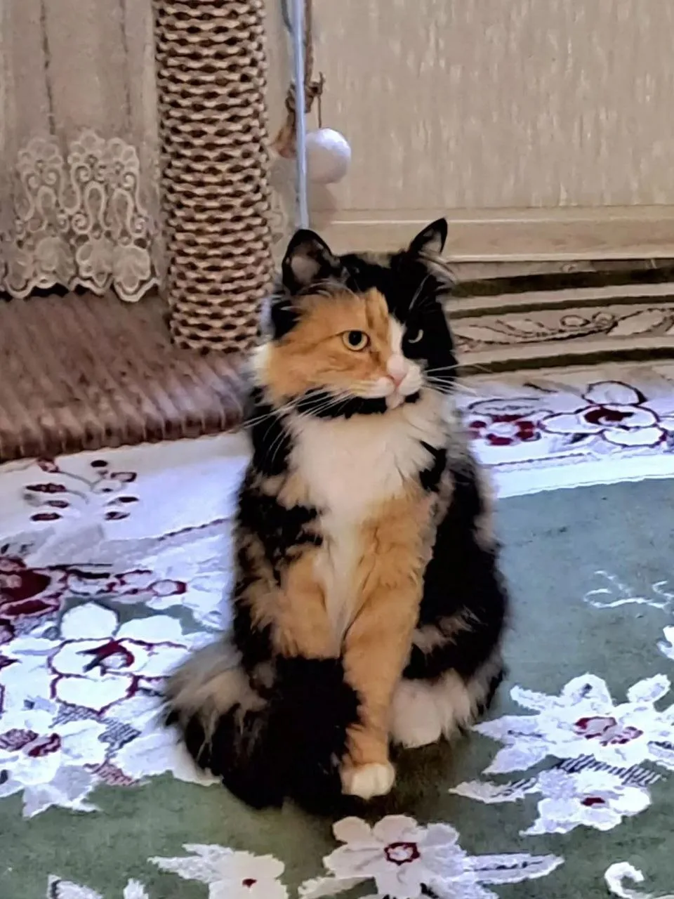 Теплые вечерние новости: