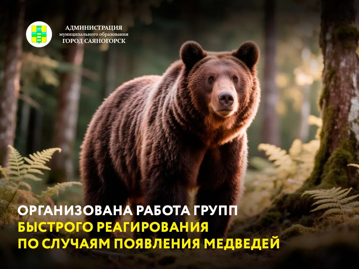Внимание, саяногорцы! Из-за того, что бурые медведи стали часто выходить к нашим домам,...