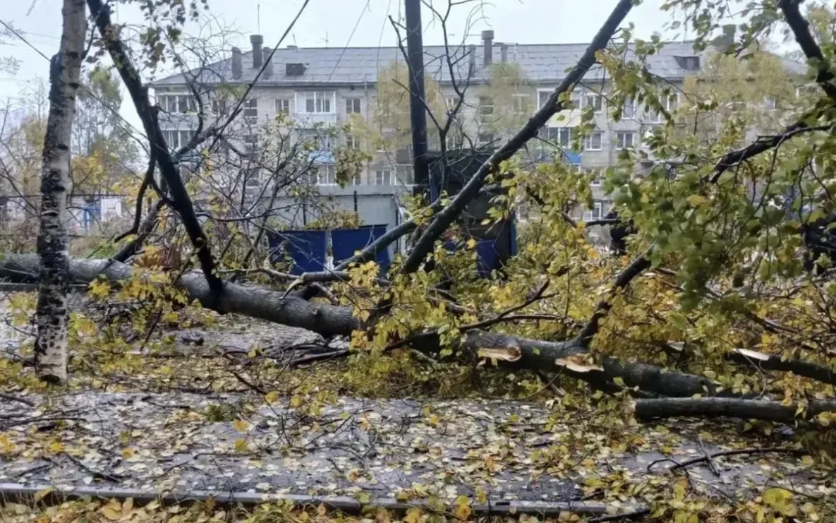 Последствия циклона ликвидируют в Ванинском и Верхнебуреинском районах