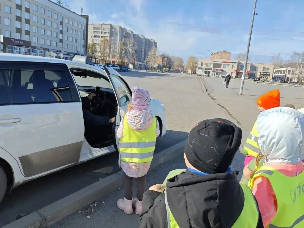 Воспитанники  подготовительной к школе группы «Лучик» обратились к водителям и пешеходам с просьбой 