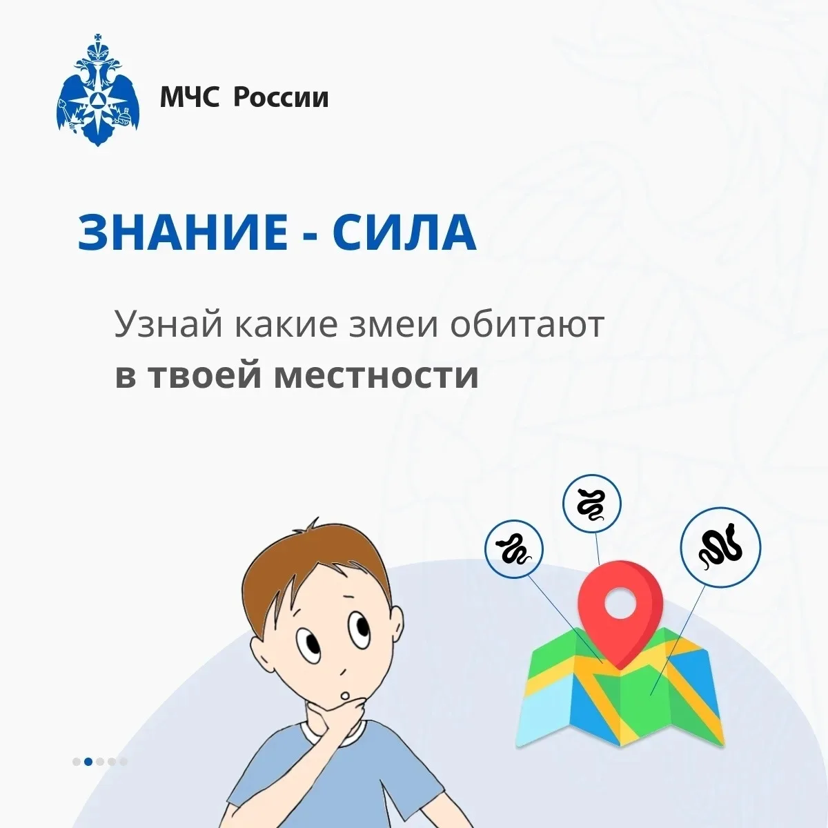 🐍 Безопасность на природе: как вести себя при встрече со змеёй