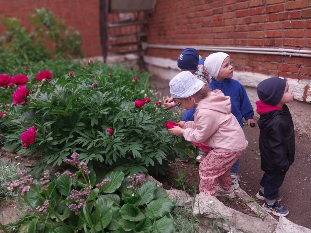 ТАКИЕ РАЗНЫЕ ЦВЕТЫ