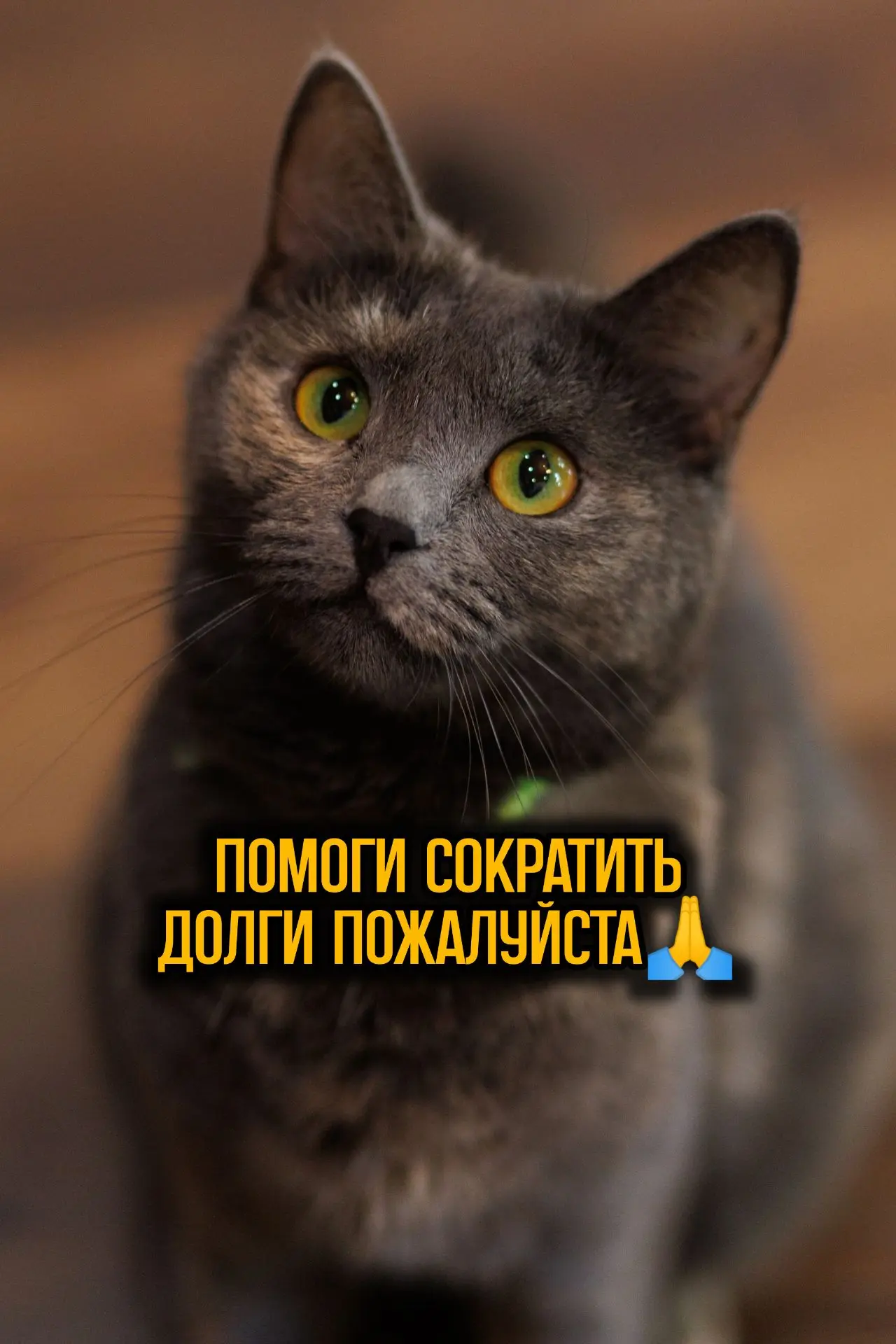 Помогите пожалуйста🙏сократить наши долги! 

Сегодня последний день июля. А у нас её погашены даже о