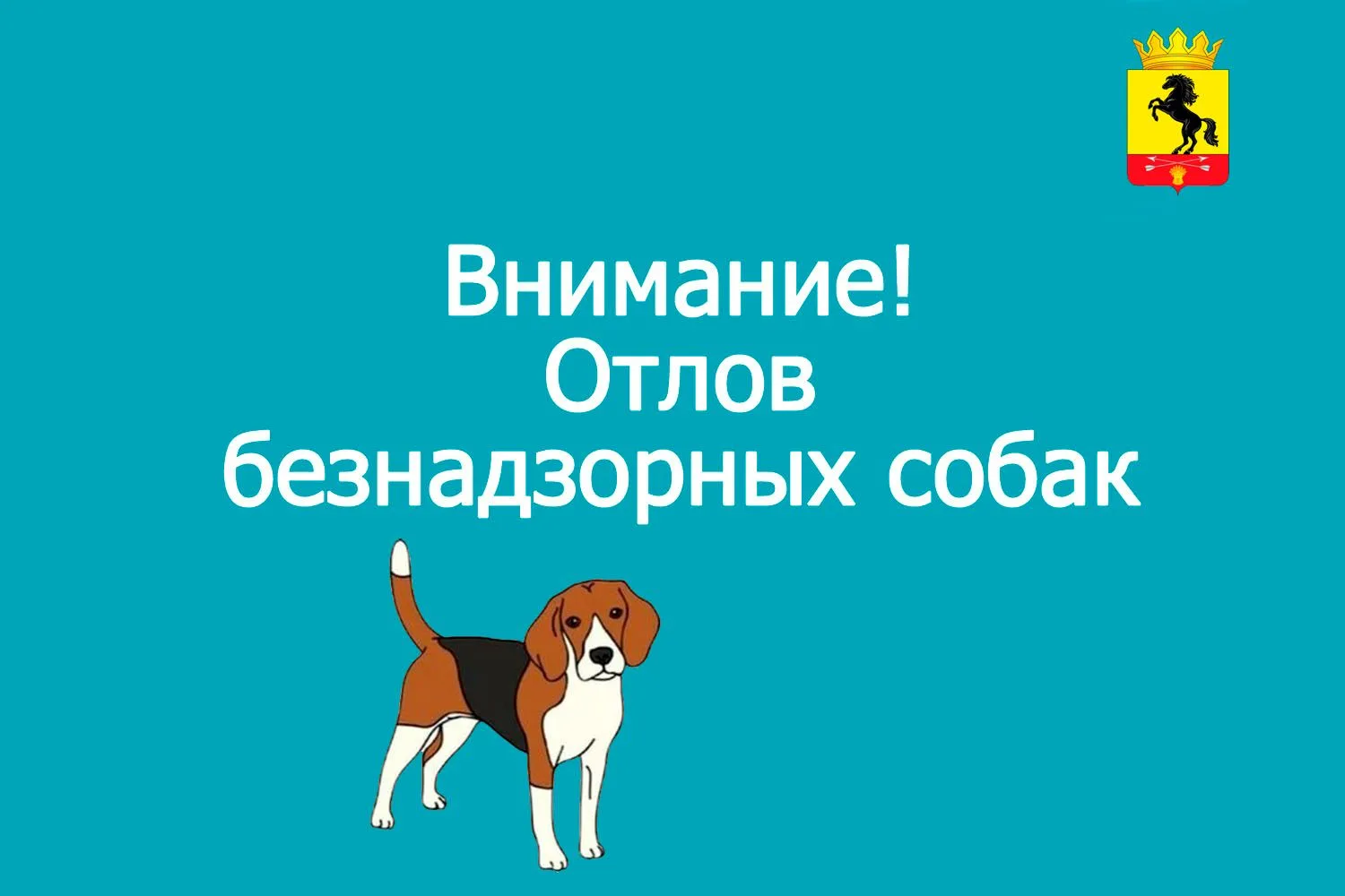 Проводится отлов собак без владельцев специализированной организацией.