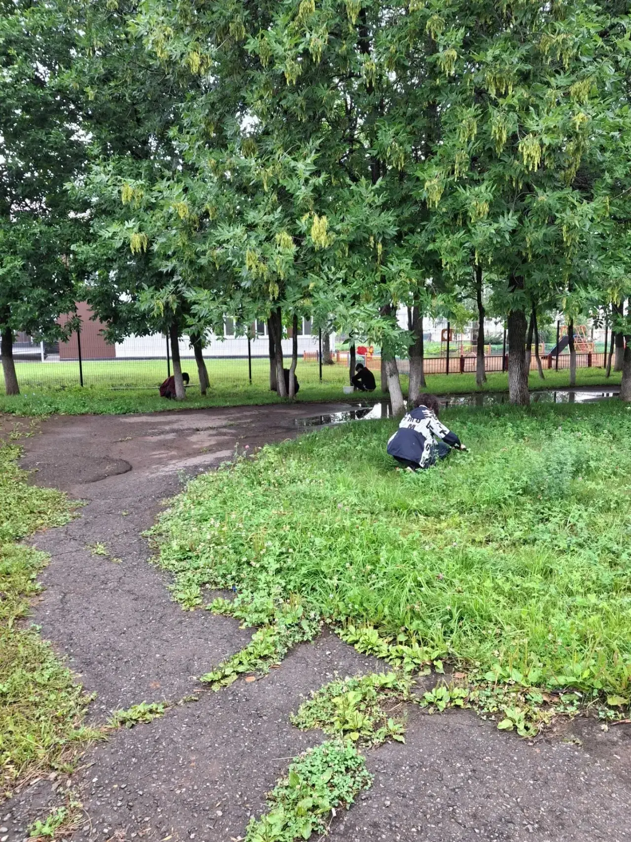 Лето — это не только время отдыха, но и отличная возможность провести время с пользой. В этом году н