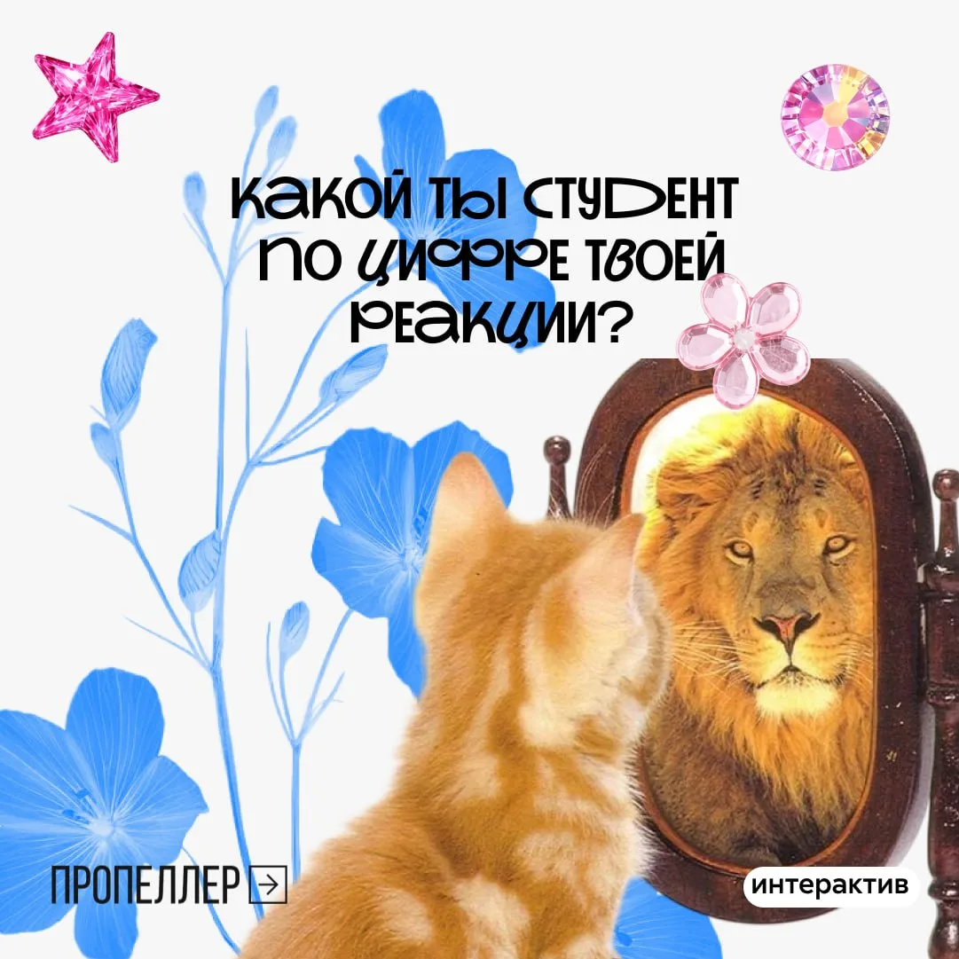 🌿 Никакой тест на тип личности точно не скажет, какой ты студент