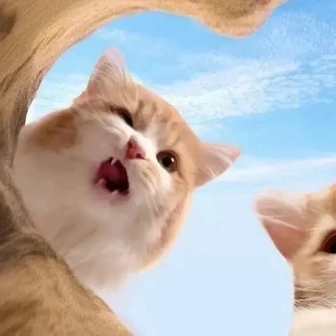 ❤️ - поставим