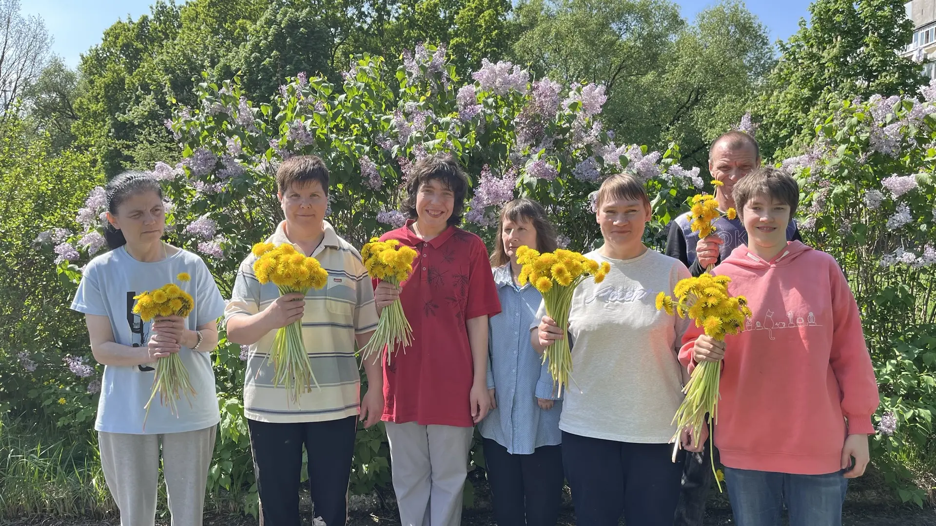 Всемирный день одуванчиков – праздник красоты и творчества✨🌸
