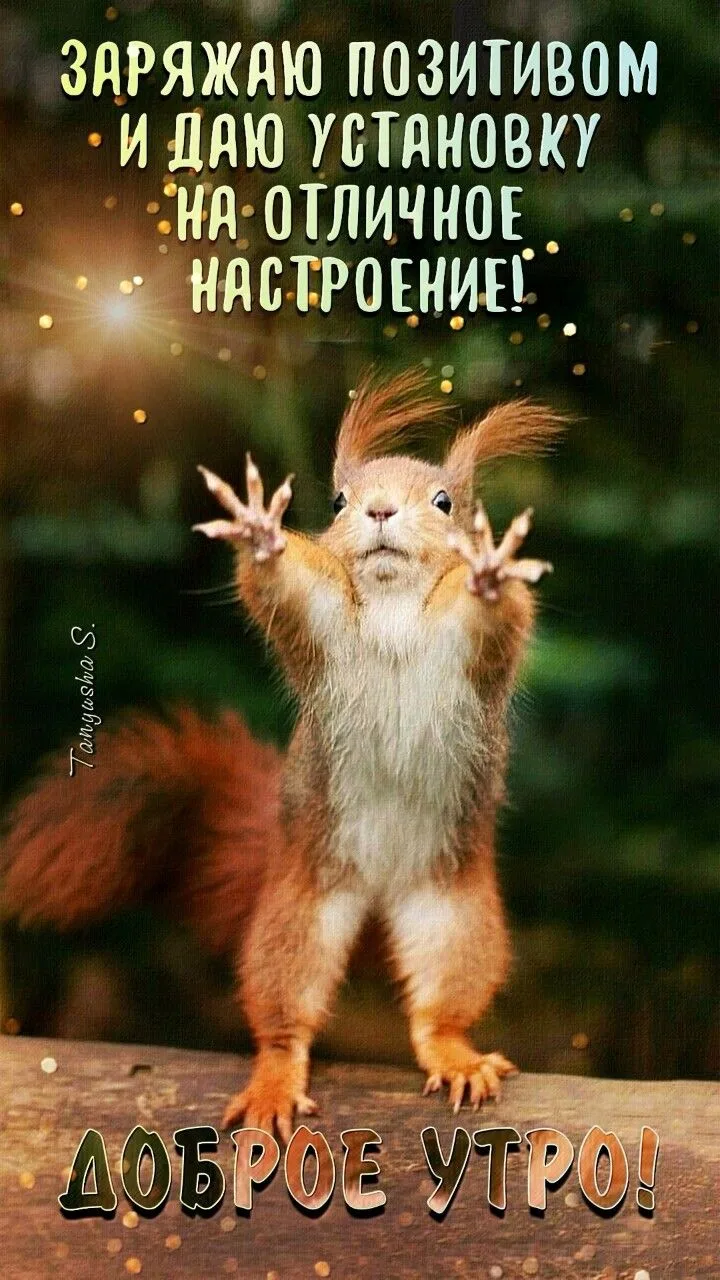 Доброго и бодрого утра ☕