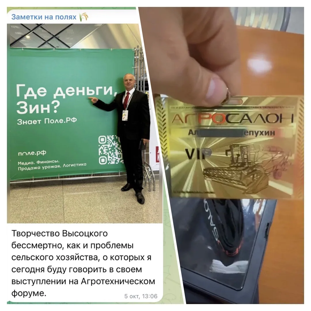 Где деньги, Зин?