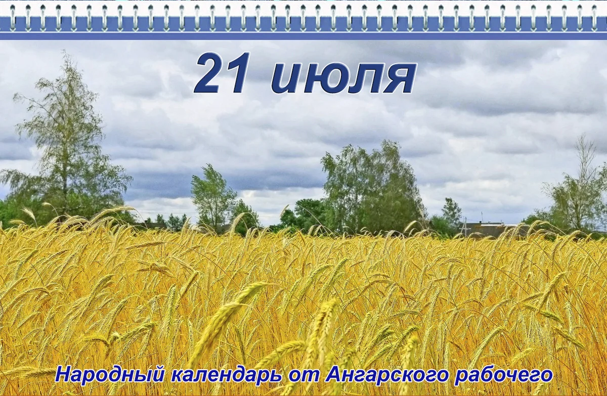 21 июля. Прокопий жнец. Зажинки