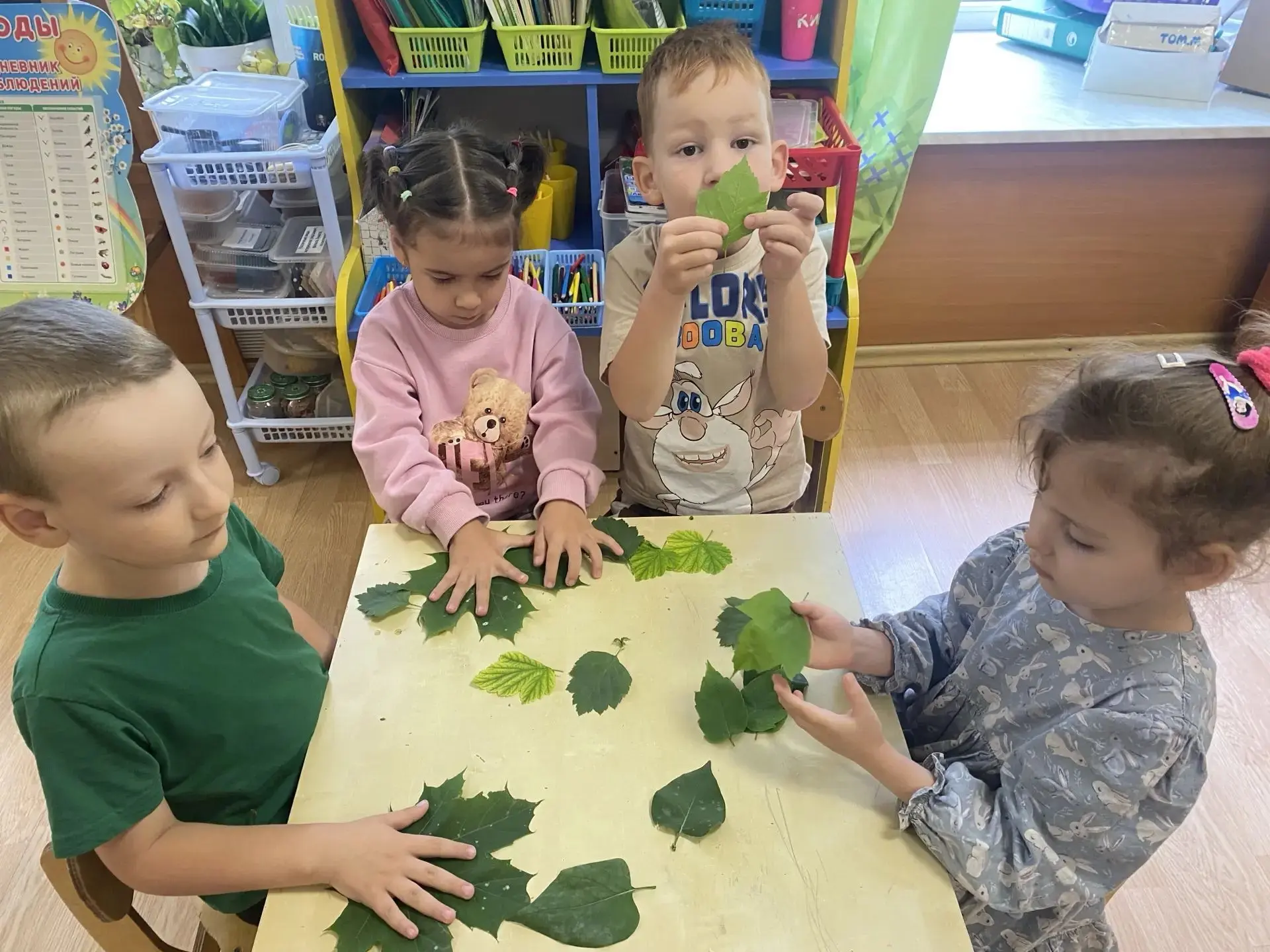 «Чудесные листочки».