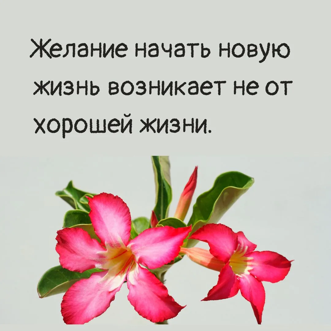 Желание начать новую жизнь возникает не от хорошей жизни.