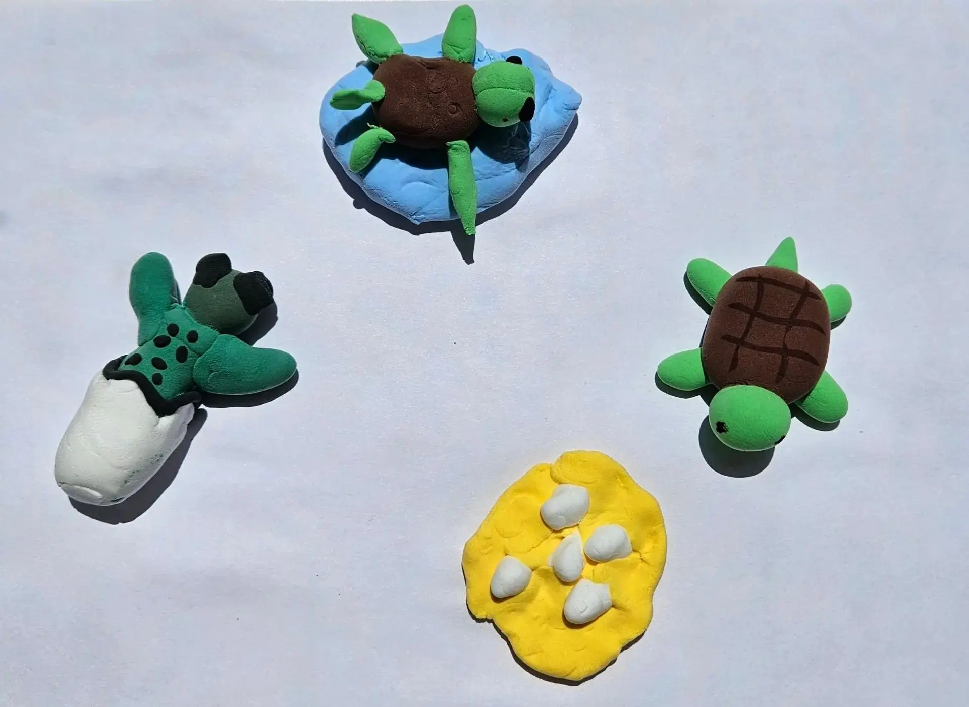 16 июня — Всемирный день морской черепахи! 🐢Сегодня в нашем школьном лагере прошло увлекательное и 