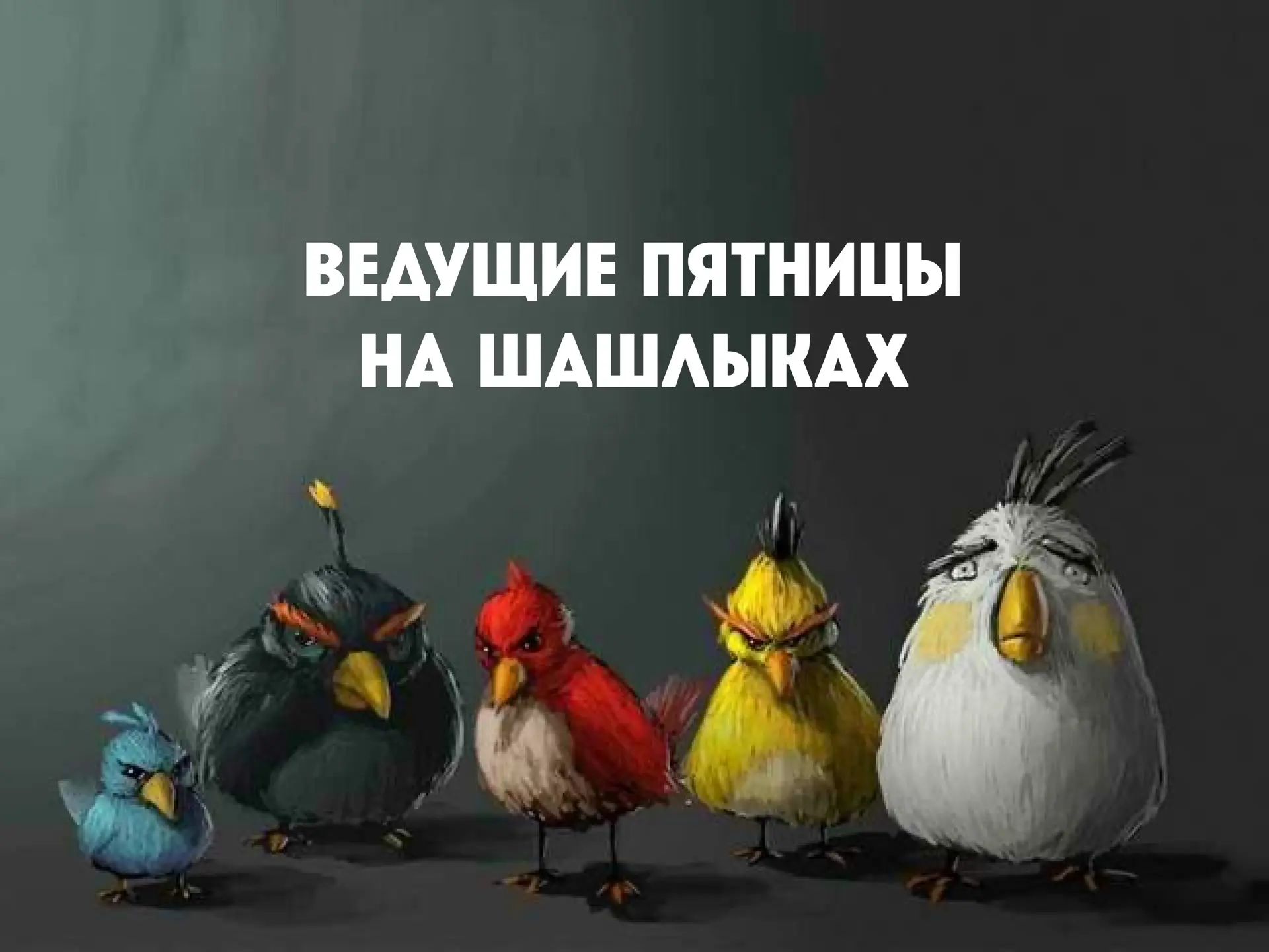 Вот они, слева направо, наши неповторимые любимки
