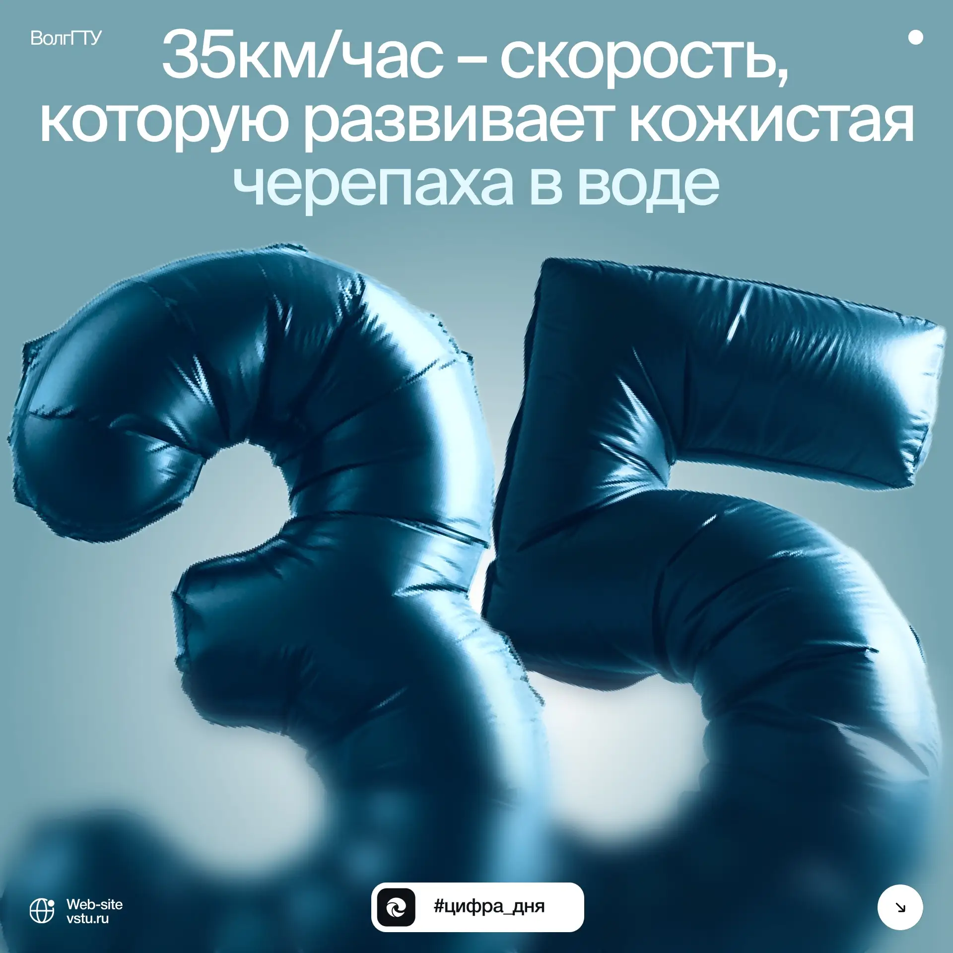 👀 В Международный день морской черепахи продолжаем рубрику #цифрадня, в которой делимс...