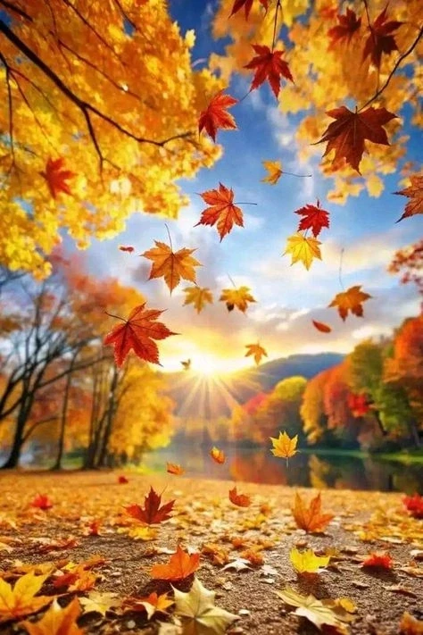 🍁🍂Красота осенней природы никого не оставляет равнодушным.