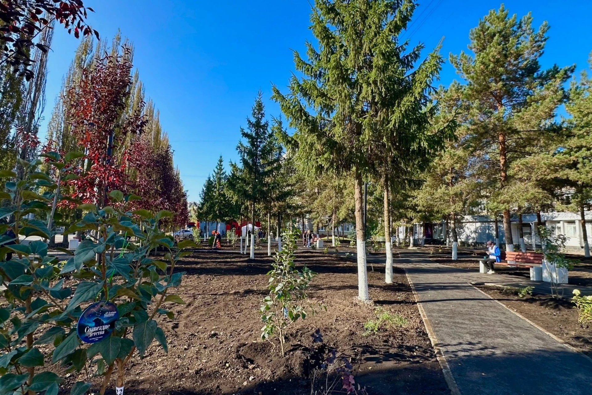 🌳 «Зелёная Башкирия»: новые аллеи и скверы в Уфе