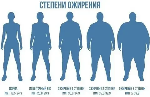 Ожирение: не просто вес, а сложный обмен веществ