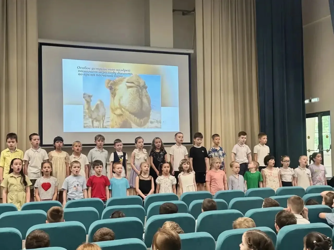 🗓️ 21 мая в корпусе Фестивальная 16 состоялся «Праздник прощания с 1 классом», который стал ярким за