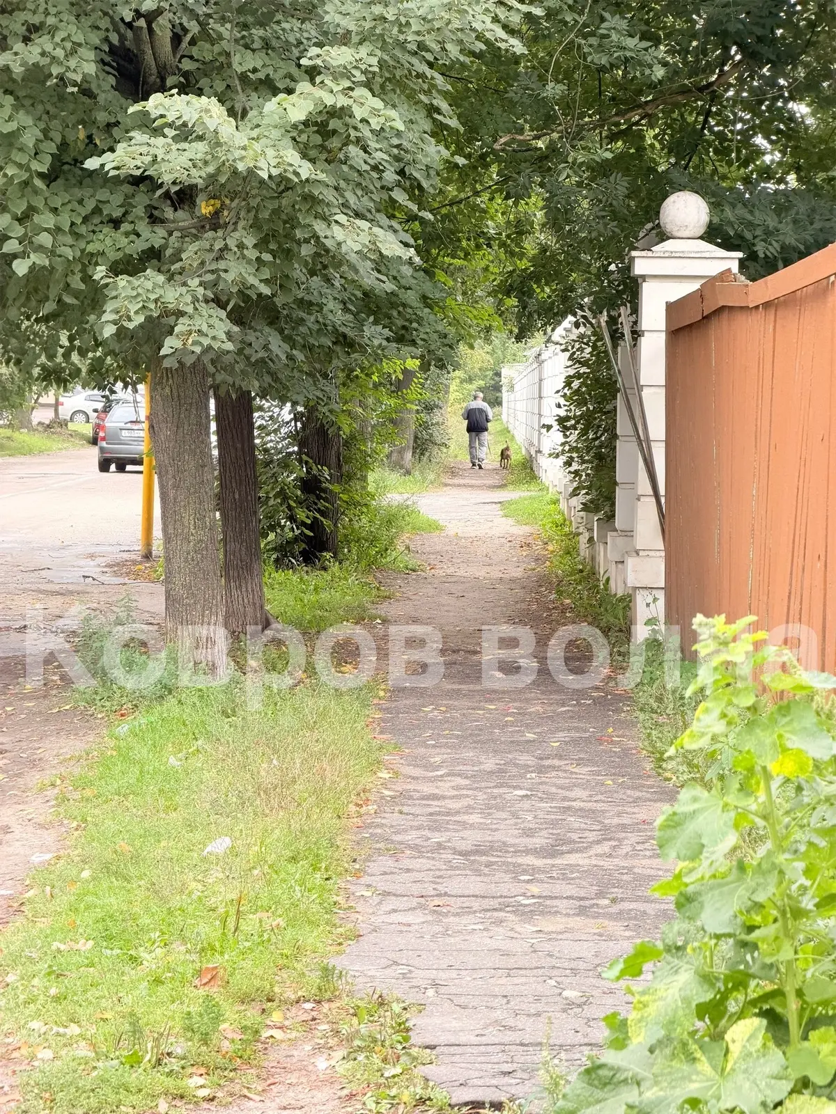 В ПАРКЕ ПАТРИОТ БУДУТ ОТМЕЧАТЬ ДЕНЬ ГОРОДА🧐