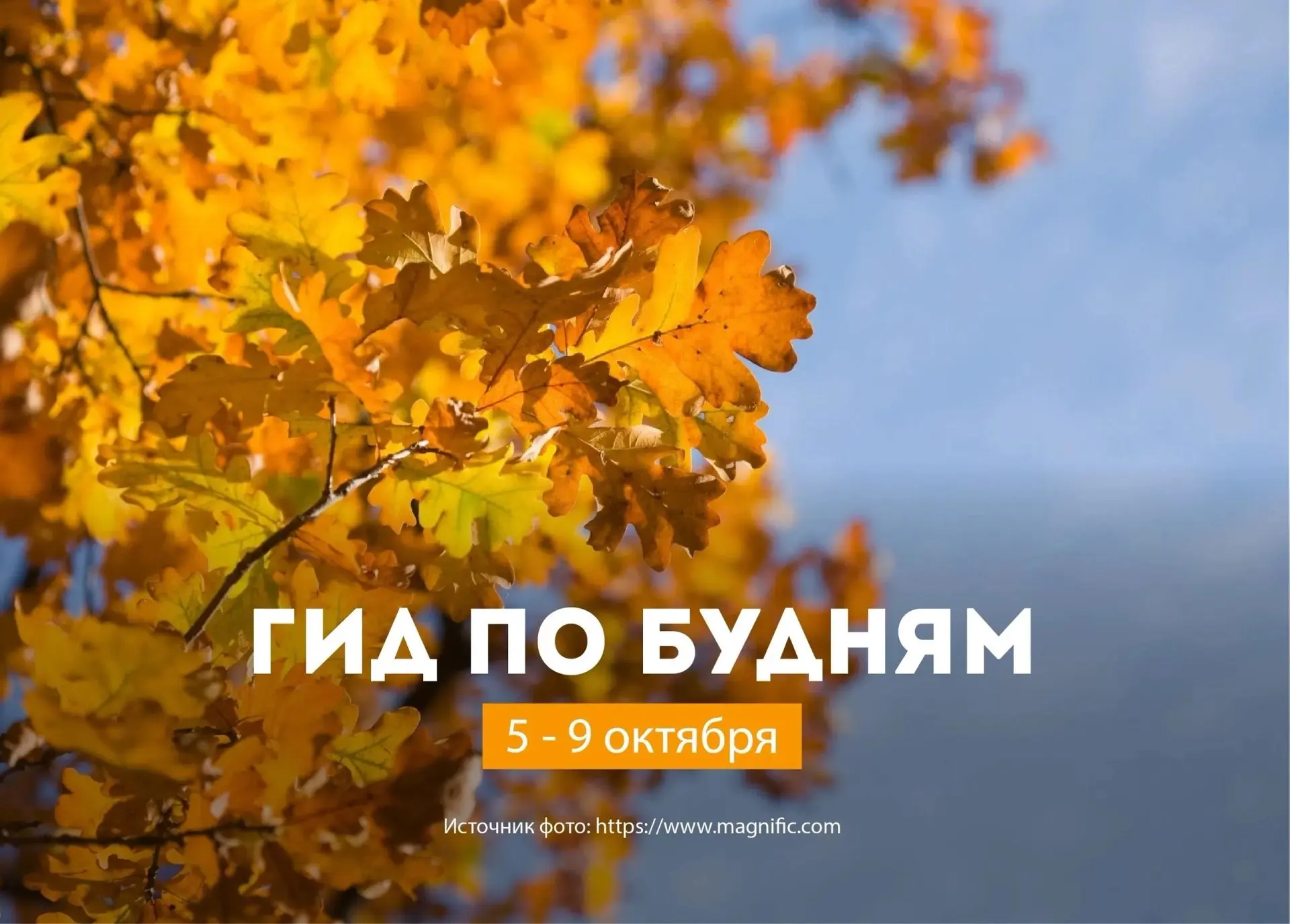 Какие культурные мероприятия пройдут в будни? Рассказываем в нашем Гиде