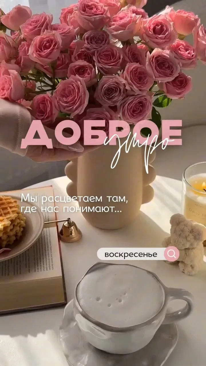 Мы расцветаем там, где нас понимают...